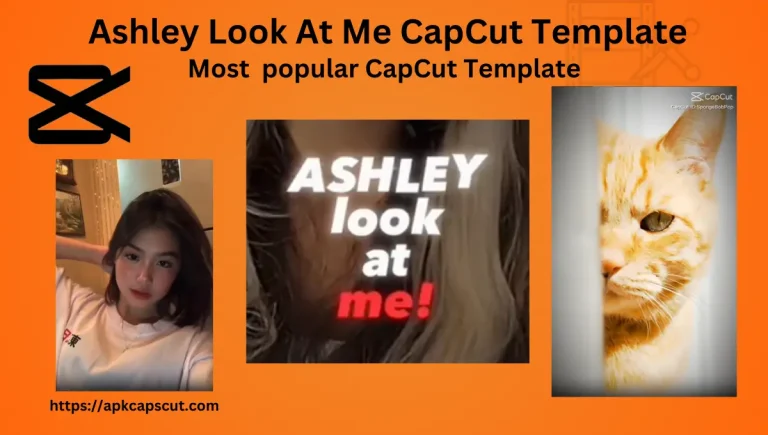 14 New Ashley Look At Me CapCut Templates Direct Link