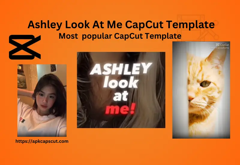 ashley-look-at-me-capcut-template