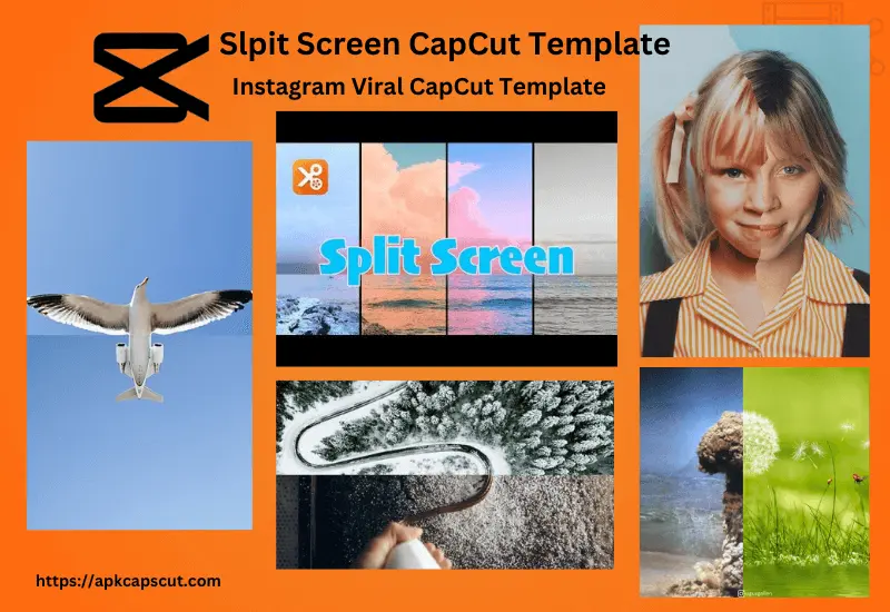 split-screen-capcut-template