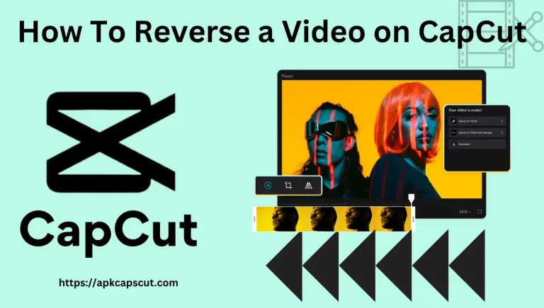 How To Reverse a Video on CapCut Tutorial